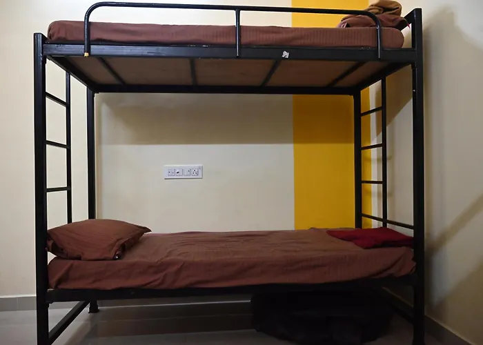 Bacpac Monkey Coliving